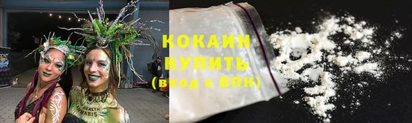 спайс Богданович