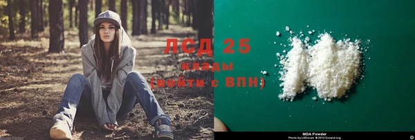 спайс Богданович