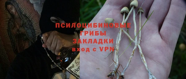 кристаллы Белокуриха