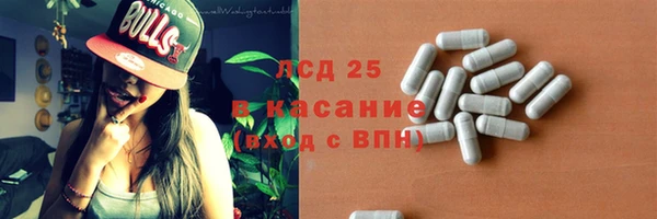 спайс Богданович