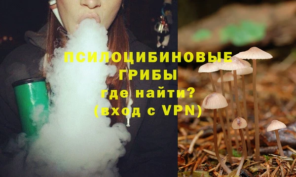 кокс Богородск