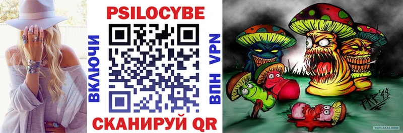 Псилоцибиновые грибы Psilocybe Новошахтинск